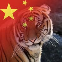 遥看晴空万里头像