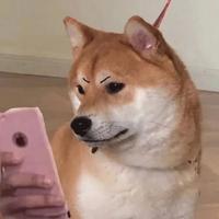 好肥的羊羊头像