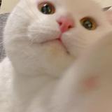 用户1859505325844头像