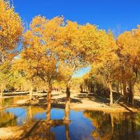 青山绿水8510600336738头像