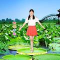 燕语芳菲广场舞