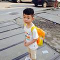 风无痕1346头像