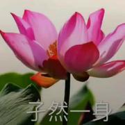 RCHN的个人资料头像