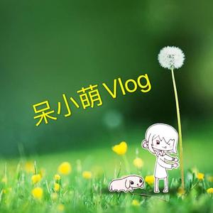 呆小萌日常Vlog头像