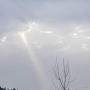 子甫的个人资料头像