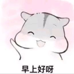 视野哈德利4y8X头像