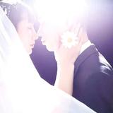 狐狸的忧伤116头像