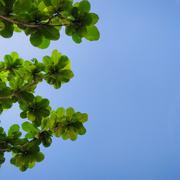 用户6758147722308的个人资料头像