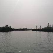 战神509的个人资料头像