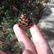 许伟涛的个人资料头像