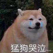 前端菜菜two的个人资料头像