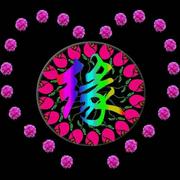 深情不及久伴126的个人资料头像