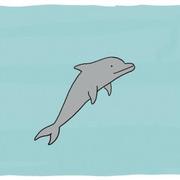 不再少年233的个人资料头像