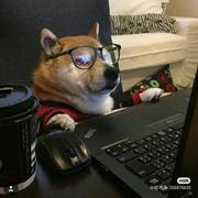 cq817的个人资料头像