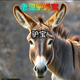 亮眸映夏光头像