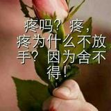 心随你动7615头像