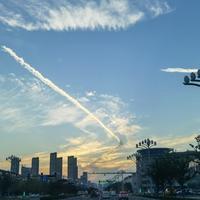 披荆斩棘的王同学头像