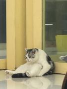 可能是阿伦的个人资料头像