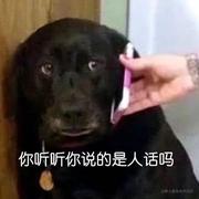 某先生重名了的个人资料头像