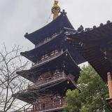 闽都望鹭头像