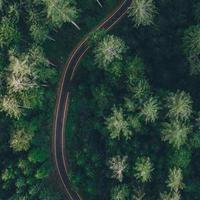 ღ᭄℡ꦿএ清风归客ꦿ♡ღ᭄头像