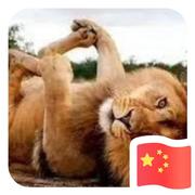 阿泰869的个人资料头像