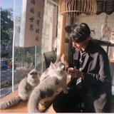 养匡匡和头像