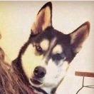 sankun不想说话的个人资料头像