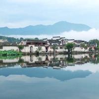 用户3941726980109头像