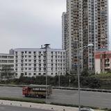 陈发忠282头像