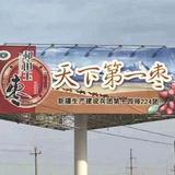 ♥心飞扬♥头像