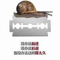 汉Dm车主头像