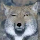 这个名字不好去啊头像