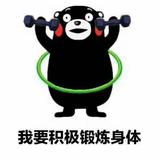 枫城白桦头像