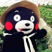 鸡鸡鸡镜的个人资料头像