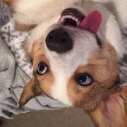 Moody丶的个人资料头像