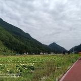 乡村姚哥哥头像