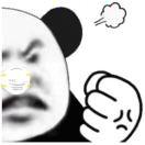 淡淡的季节的个人资料头像