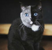 四爱学习的个人资料头像