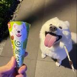 用户3316194500885头像