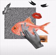 chen_sss的个人资料头像