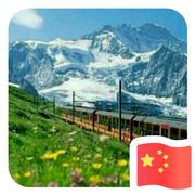 平凡的世界205的个人资料头像