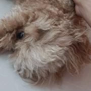 离散的个人资料头像