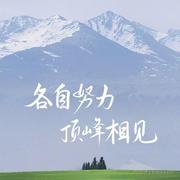 立善的个人资料头像