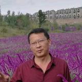 封定勇头像