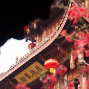 唐伟829的个人资料头像