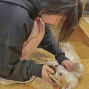 啊哈哈哈哈0的个人资料头像