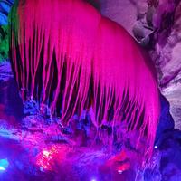 华夏儿女荷荷头像