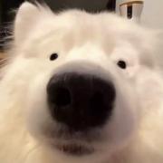 拼搏491的个人资料头像