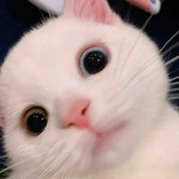 旧人1735头像